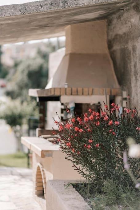 Cocoa Apartment Potamos (Corfu)